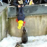 A day at the zoo