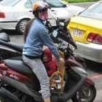 Transportation fail #6
